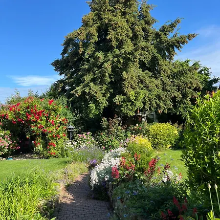 First Tee Am Rosarium * Sangerhausen
